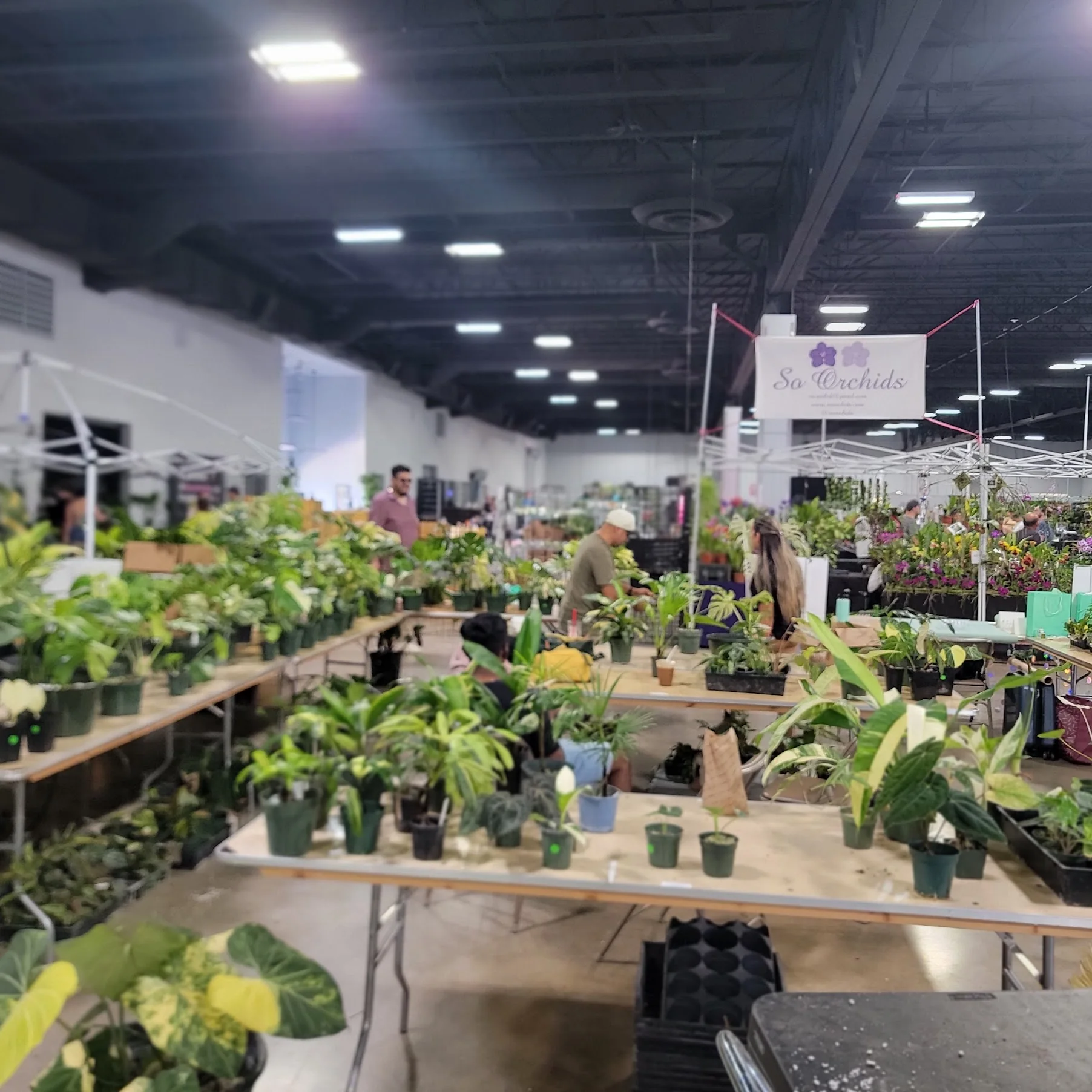A wide view across vendors and plant displays on the Tropical Plant Expo floor